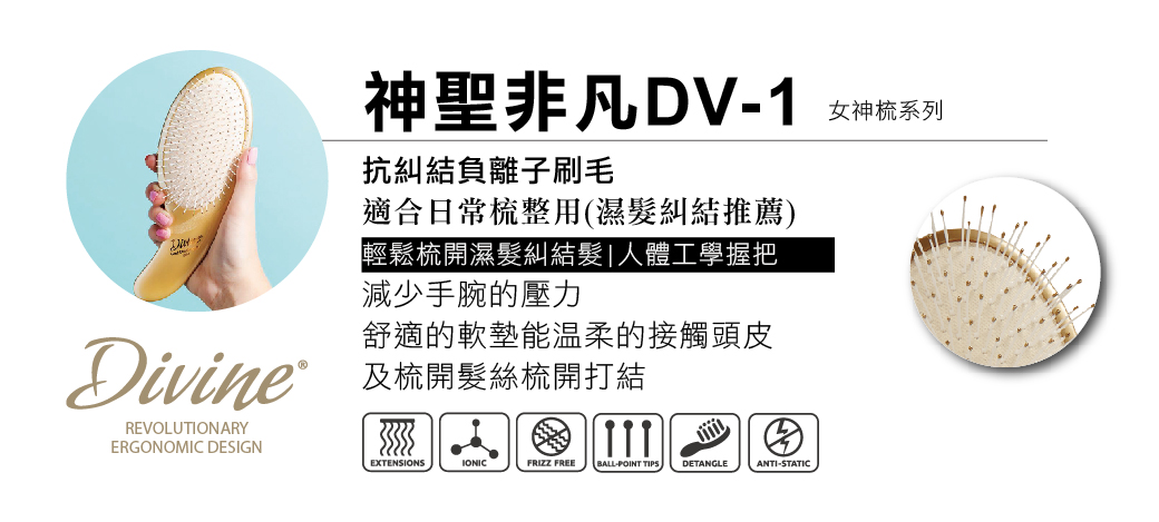 OG-女神系列DV-1產品介紹圖
