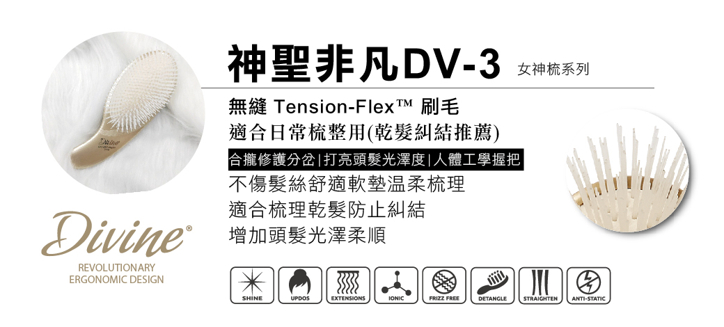 OG-女神系列DV-3產品介紹圖