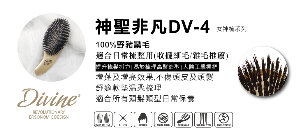 OG-女神系列DV-4產品介紹圖
