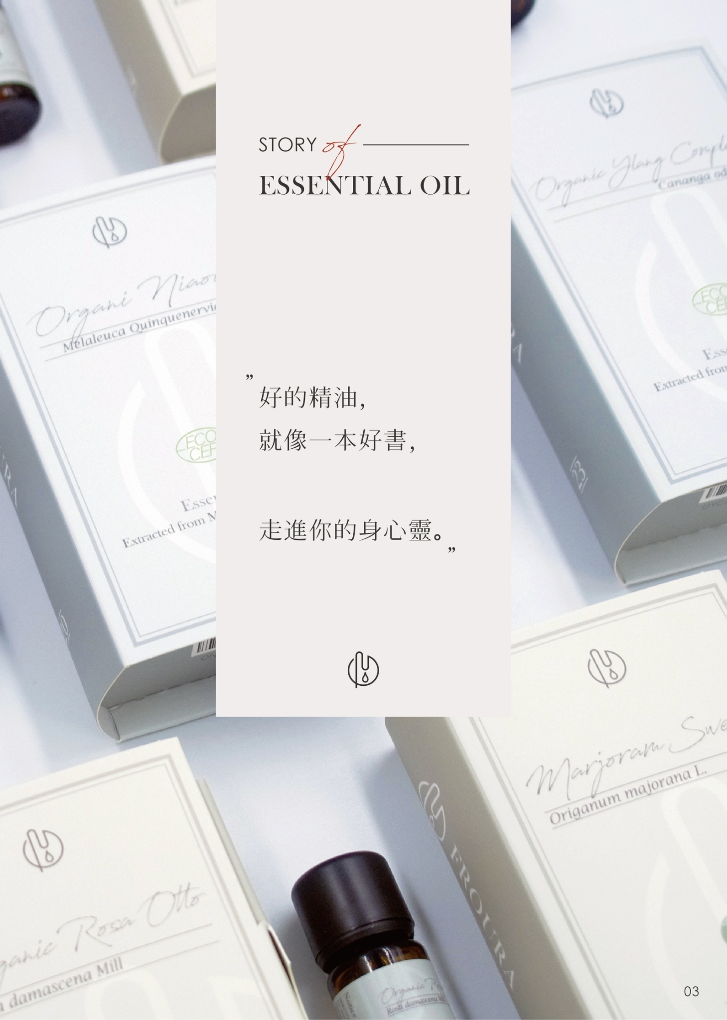 馥蕊精油品牌瓶身展示，純淨天然標示清晰  多款單方精油排列，含甜橙、佛手柑、玫瑰草等  精油擴香器散發香氣，營造居家放鬆氛圍  睡前安神按摩油調配示意圖，精油滴入基底油  絲柏精油與胡椒薄荷製作提神滾珠瓶特寫  玫瑰草與佛手柑調和肌膚修護油，質地清透  苦橙葉精油搭配百里香製作空氣淨化噴霧  芳療師手持精油瓶，專業調和精油示意  居家沐浴場景，加入精油的浴缸營造舒適氛圍  全球原產地植物與精油瓶合照，呈現天然來源